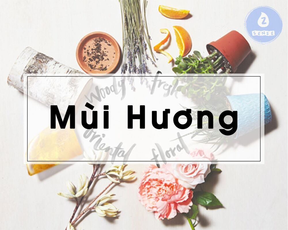 chon-mui-huong-theo-ca-tinh-thumb.jpg
